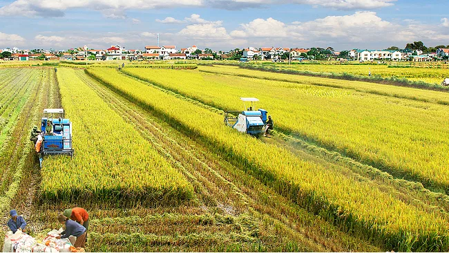 Được sử dụng đất nông nghiệp khi đã hết thời hạn sử dụng trong sổ đỏ?