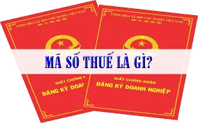 Mã số thuế là gì? Cách phân loại mã số thuế mới nhất từ 2021
