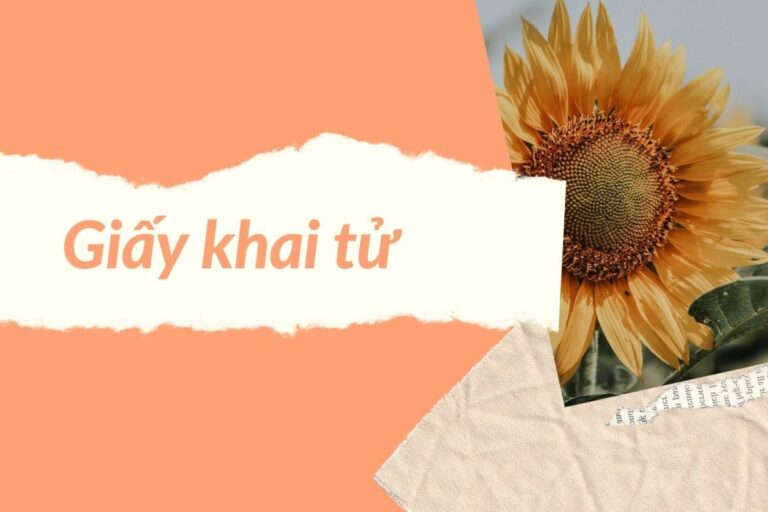Dịch vụ trích lục khai tử