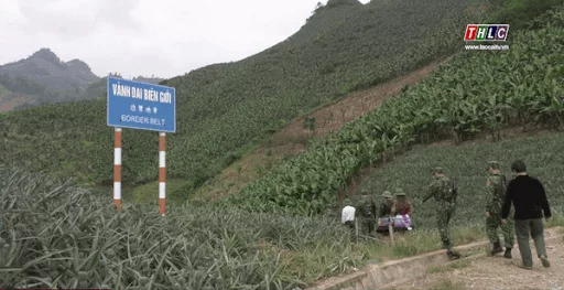 Tội buôn lậu qua biên giới với tội vận chuyển trái phép hàng hóa, tiền tệ qua biên giới