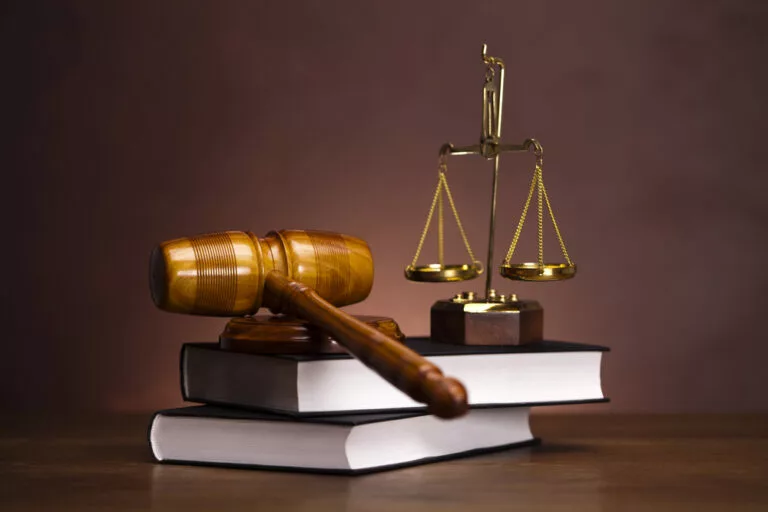Điều 219: Tội vi phạm quy định về quản lý, sử dụng tài sản Nhà nước gây thất thoát, lãng phí 