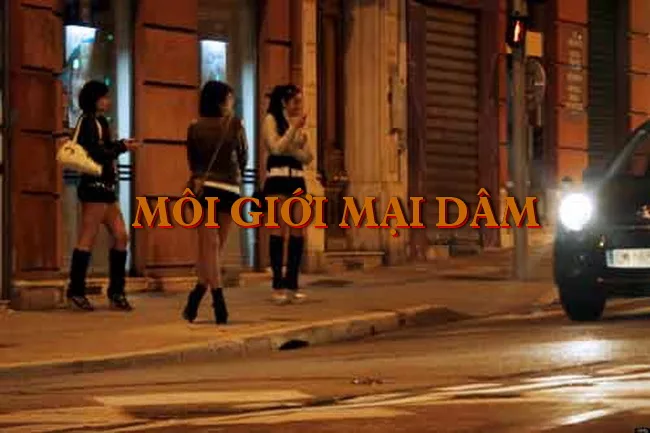 Luật sư bào chữa tội môi giới mại dâm