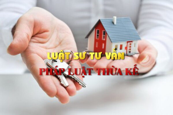 luat su tu van phap luat thua ke