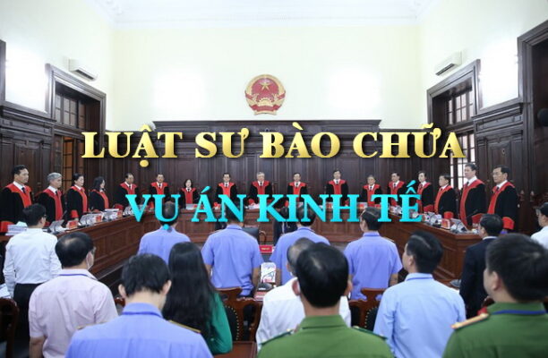 luat su bao chua cac vu an kinh te