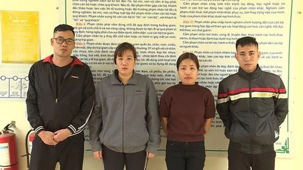 Tổ chức cho vay nặng lãi, núp bóng công ty mua bán nhà đất, hỗ trợ tài chính