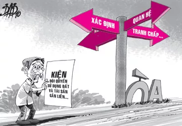 Luật sư chỉ ra nhiều vi phạm tố tụng trong vụ  chuyển nhượng đất khi chưa có “sổ đỏ”