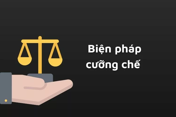 Biện pháp cưỡng chế trong tố tụng hình sự