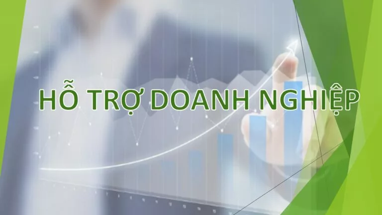 Doanh nghiệp nhỏ và vừa được hỗ trợ các hoạt động nào từ nguồn ngân sách nhà nước?