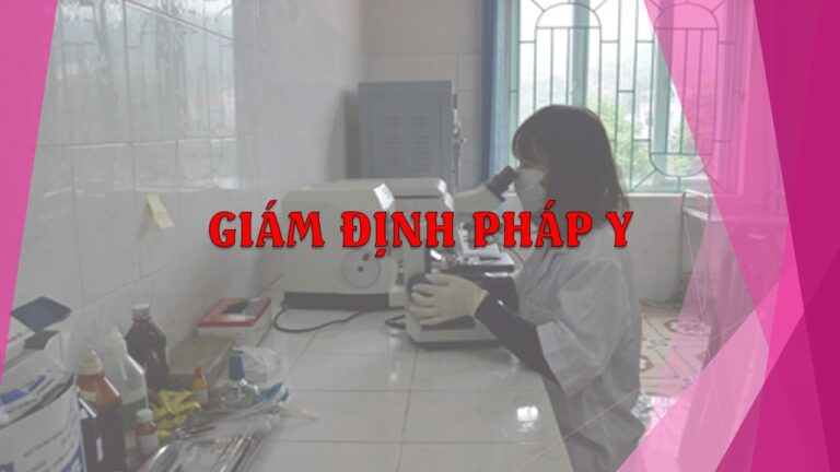 Thời gian giám định pháp y theo quy định mới nhất