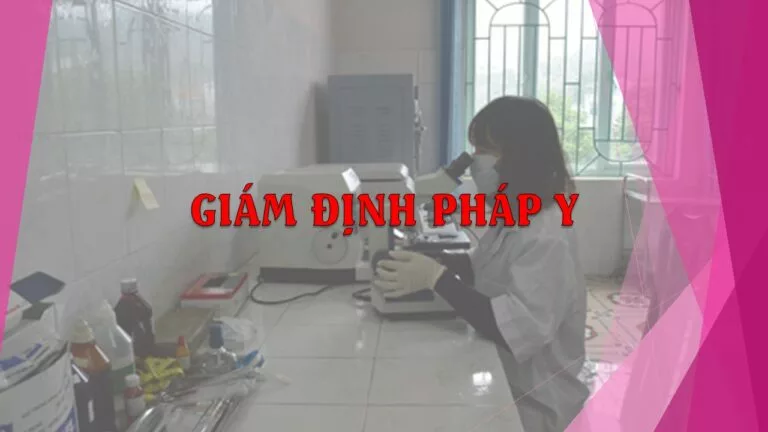 Thời gian giám định pháp y theo quy định mới nhất
