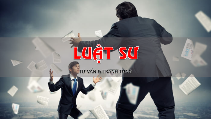 luat su tranh tung vu an thuong mai kinh te