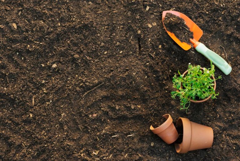 Luật sư giải quyết tranh chấp quyền sử dụng đất