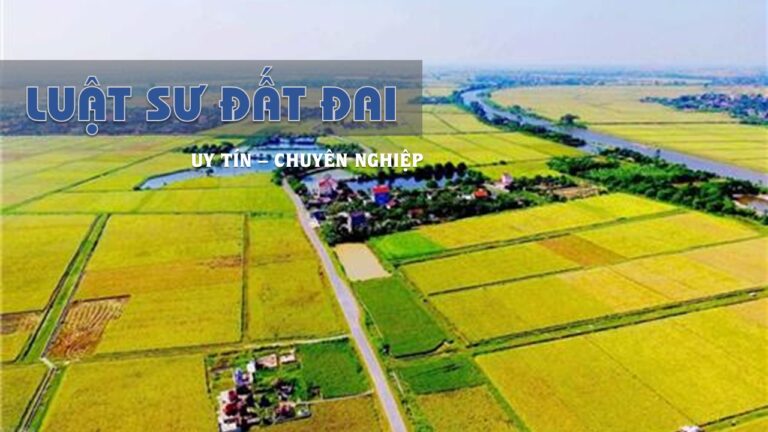 Luật sư sẽ đại diện bạn trong các thủ tục hành chính liên quan đến đất đai