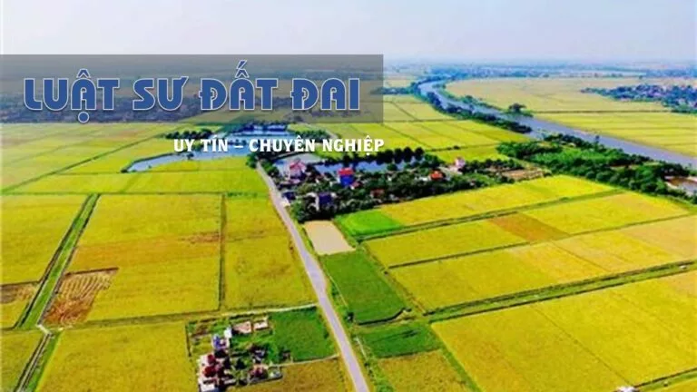 Luật sư sẽ đại diện bạn trong các thủ tục hành chính liên quan đến đất đai