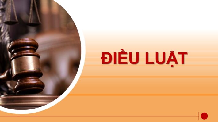 dieu luat bo luat to tung hinh su