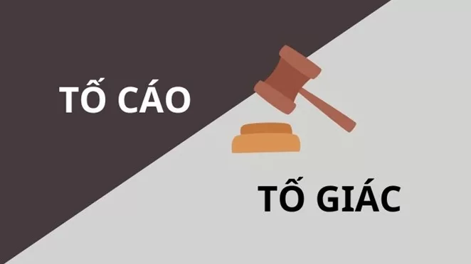 Luật sư tham gia bảo vệ từ giai đoạn tố giác: Quyền lợi và vai trò quan trọng