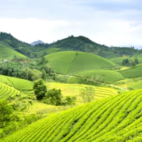Điều kiện khởi kiện vụ án tranh chấp đất đai