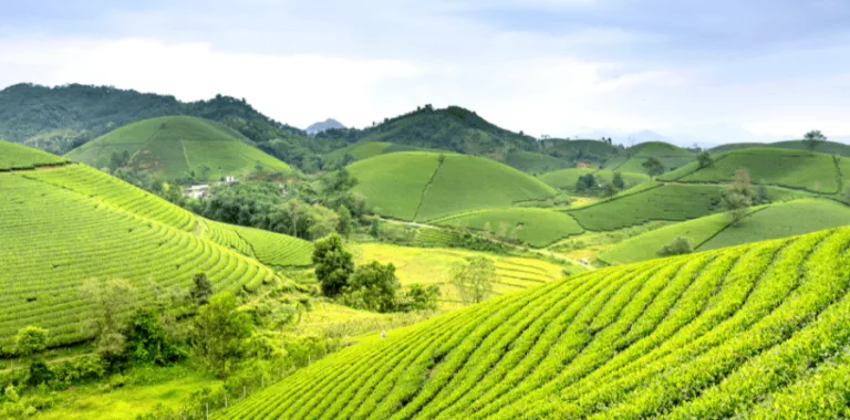 Điều kiện khởi kiện vụ án tranh chấp đất đai