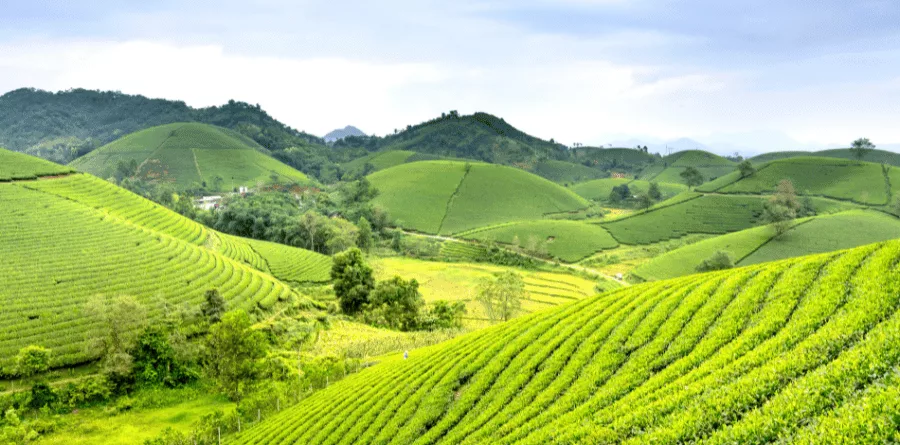 Điều kiện khởi kiện vụ án tranh chấp đất đai