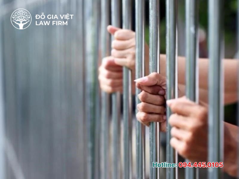 hướng dẫn mời luật sư ở giai đoạn tạm giam