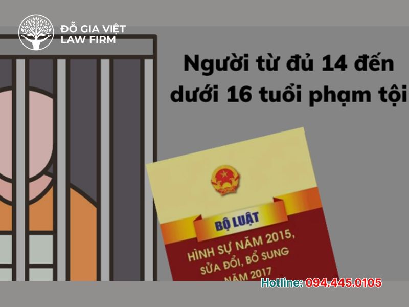 tuổi chịu trách nhiệm hình sự ở Việt Nam là bao nhiêu
