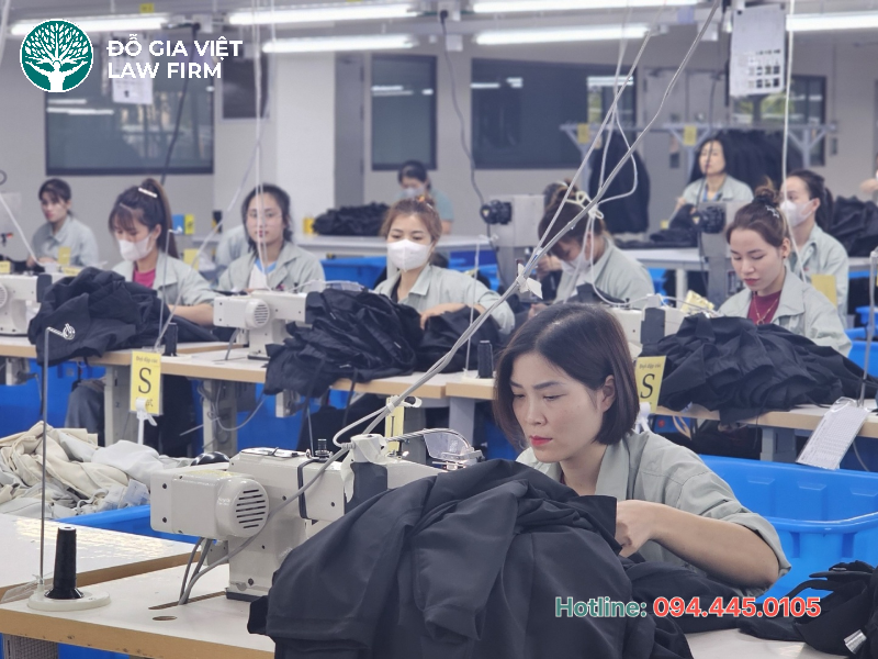 hướng dẫn báo cáo tình hình sử dụng lao động 2025