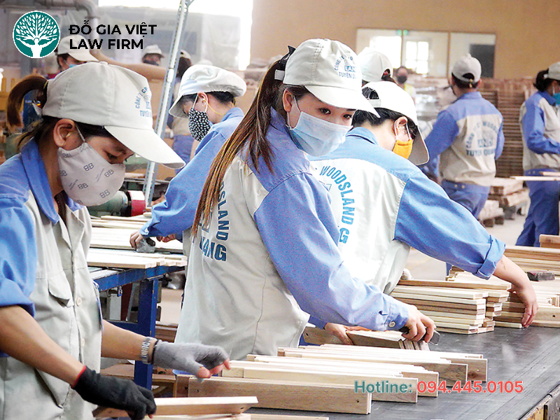 hướng dẫn báo cáo tình hình sử dụng lao động 2025