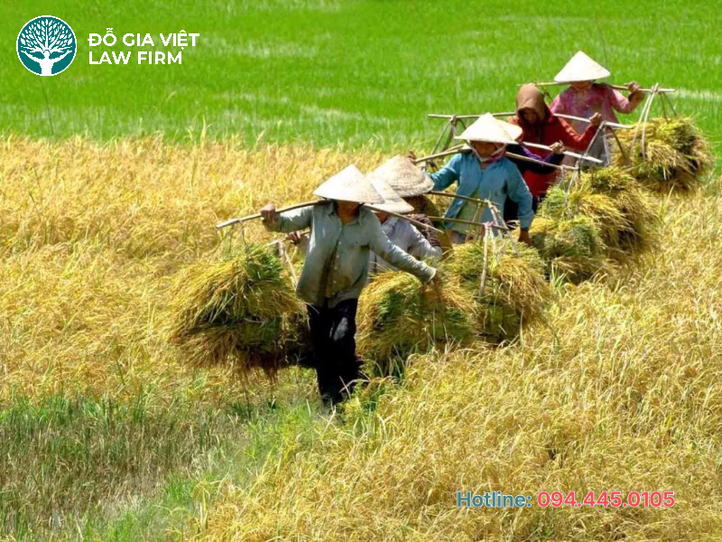 hướng dẫn thủ tục chuyển mục đích sử dụng đất không phải xin phép