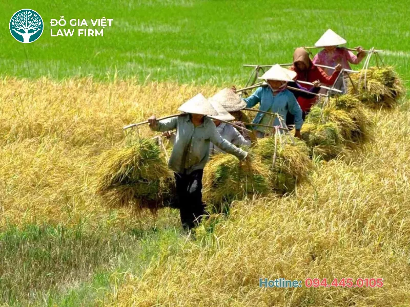 hướng dẫn thủ tục chuyển mục đích sử dụng đất không phải xin phép