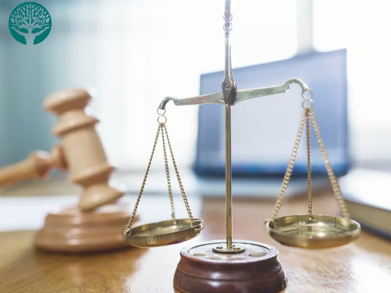 chi phí thuê luật sư bao nhiêu tiền