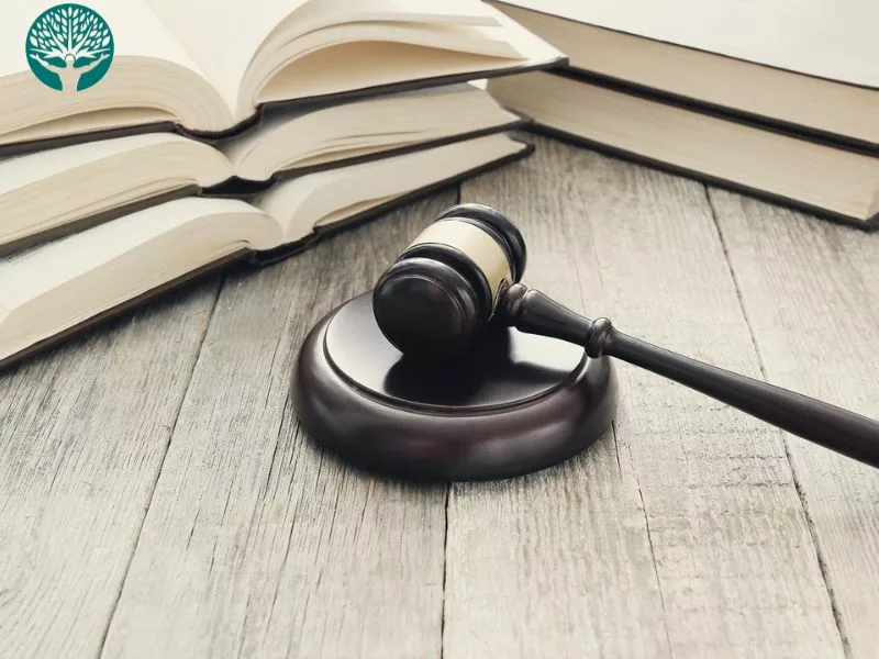 công ty luật và văn phòng luật sư khác nhau thế nào?