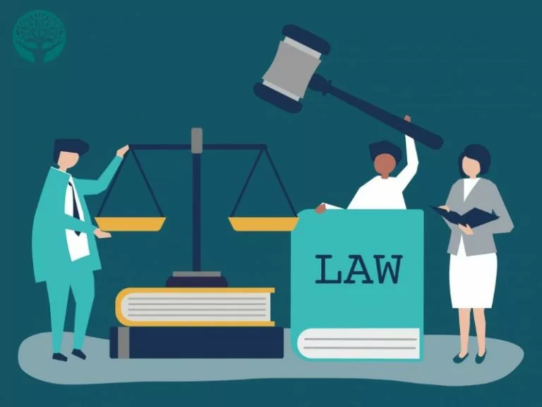Tìm dịch vụ luật sư uy tín? Đừng bỏ qua công ty luật có giấy phép và trụ sở rõ ràng