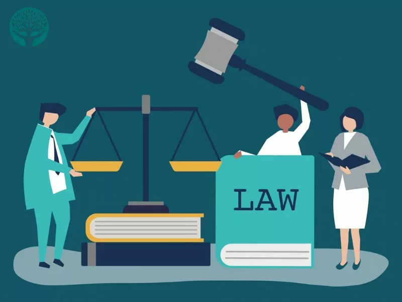 Tìm dịch vụ luật sư uy tín? Đừng bỏ qua công ty luật có giấy phép và trụ sở rõ ràng