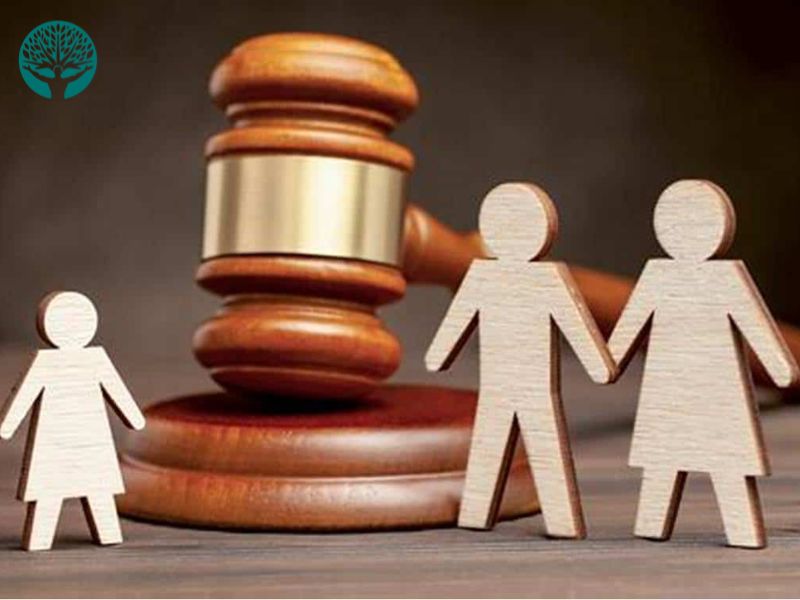 luật sư chia tài sản khi ly hôn