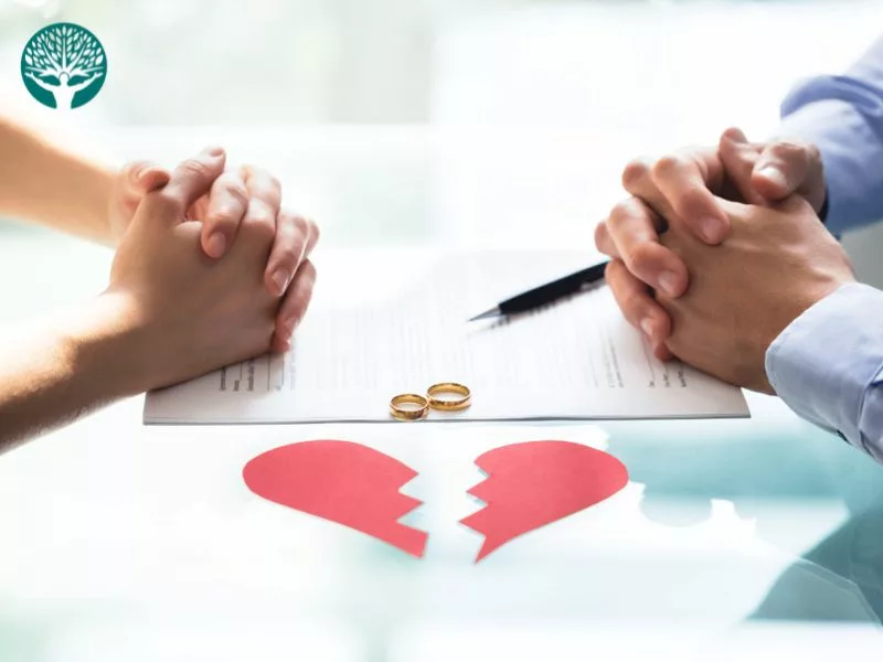 Thuê luật sư chia tài sản khi ly hôn để bảo vệ quyền lợi và tránh bị chia thiệt luật sư chia tài sản khi ly hôn