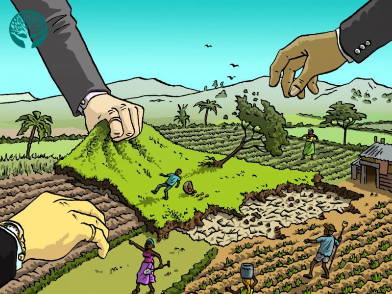 văn phòng luật sư chuyên đất đai