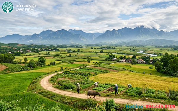 Pháp Lý Đất Khai Hoang Có Được Cấp Sổ Đỏ Không? Giải Đáp Chi Tiết