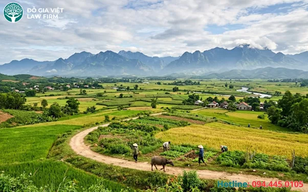 Pháp Lý Đất Khai Hoang Có Được Cấp Sổ Đỏ Không? Giải Đáp Chi Tiết