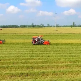 Dịch vụ luật sư đất đai, thừa kế, hôn nhân
