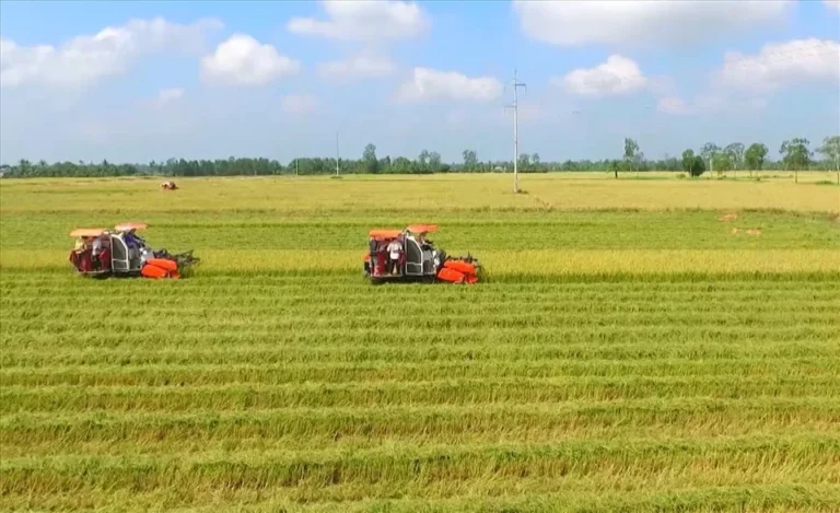 Dịch vụ luật sư đất đai, thừa kế, hôn nhân