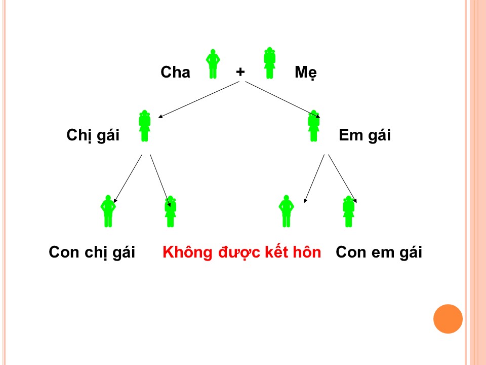 lsna 26de270e tao hon 21