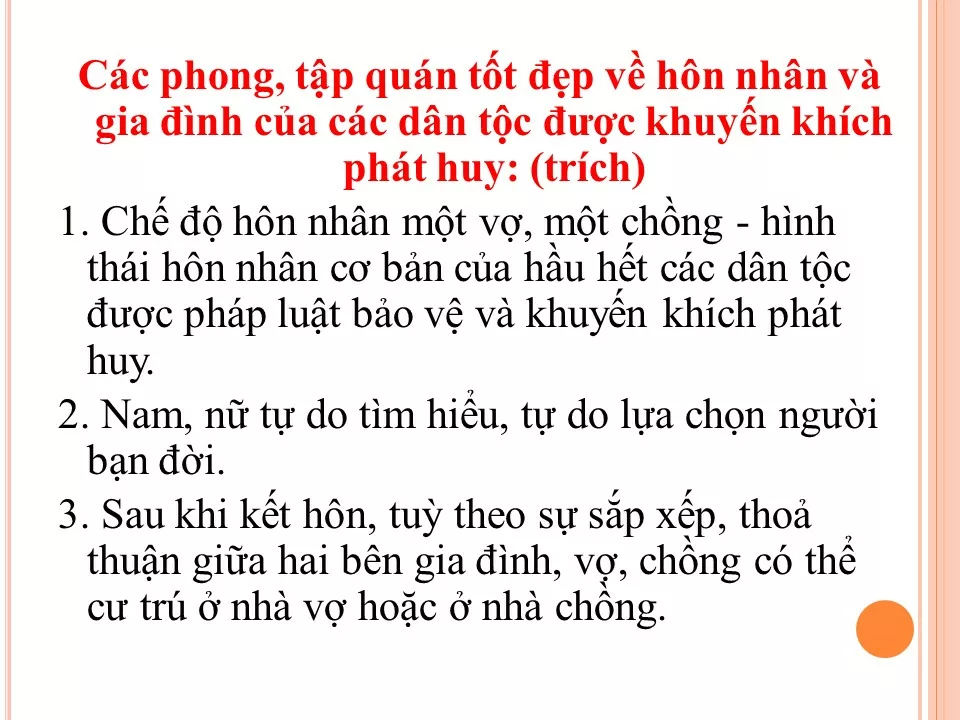 lsna 3c95eb09 tao hon 5