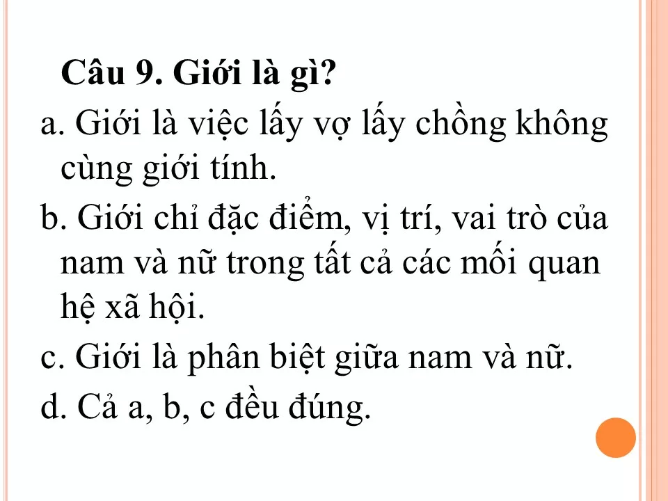 lsna a19ad7c2 tao hon 50