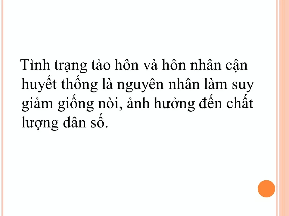 lsna a7782dfa tao hon 16