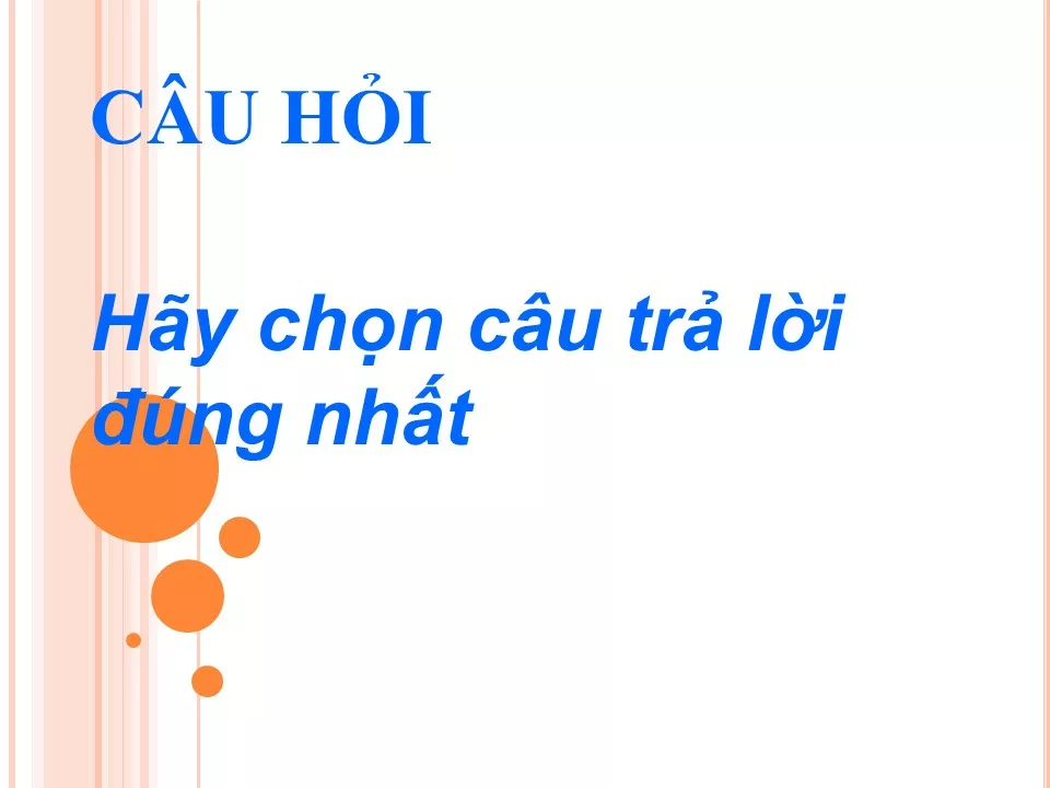 lsna e4d86c4f tao hon 41